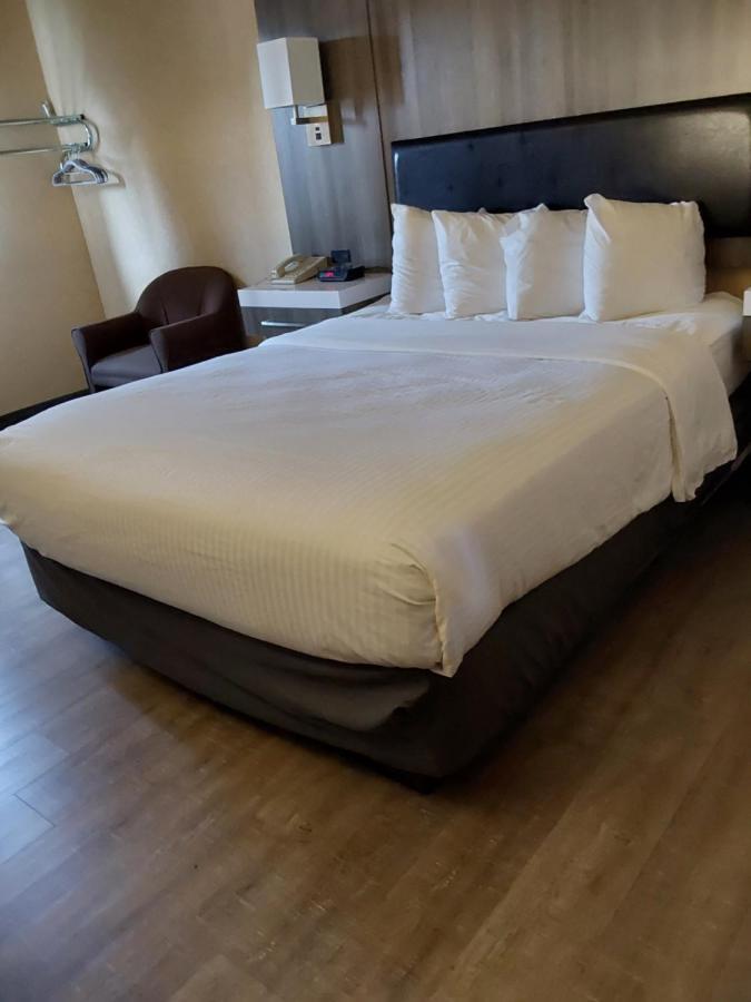 Lavissh Inn And Suites Μπέλινγκχαμ Εξωτερικό φωτογραφία