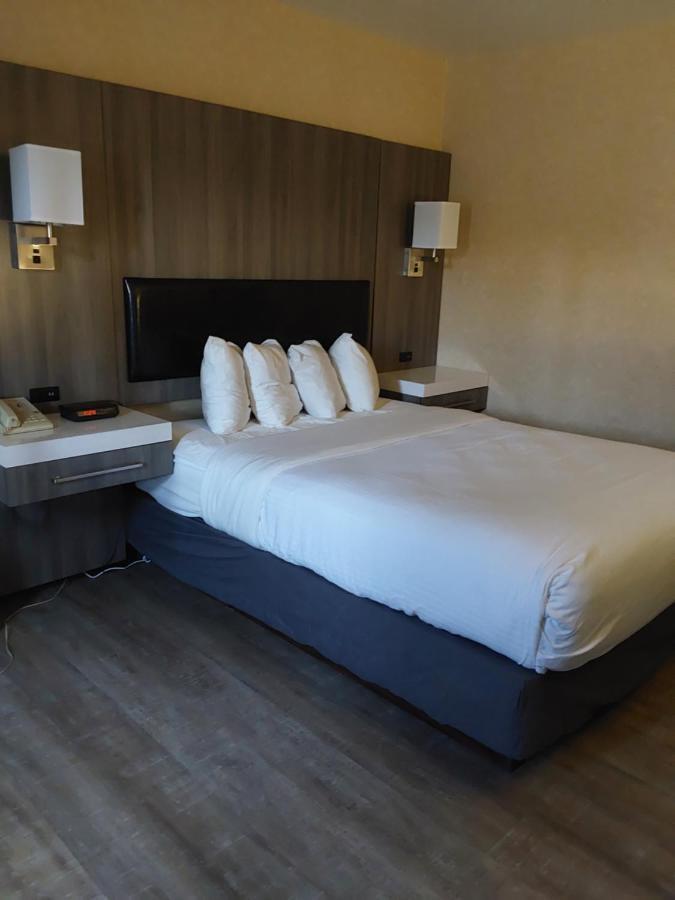 Lavissh Inn And Suites Μπέλινγκχαμ Εξωτερικό φωτογραφία