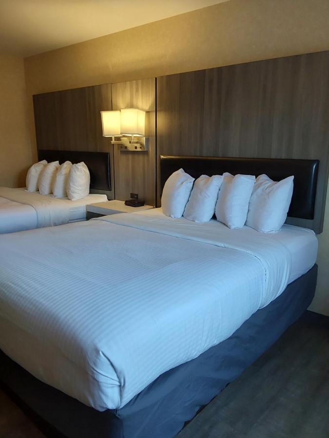 Lavissh Inn And Suites Μπέλινγκχαμ Εξωτερικό φωτογραφία