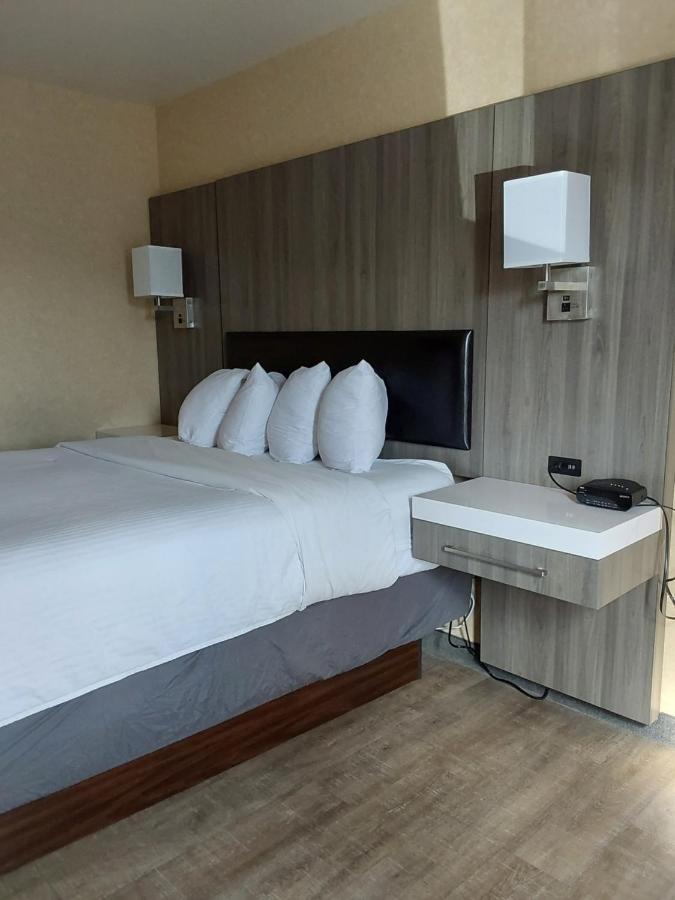 Lavissh Inn And Suites Μπέλινγκχαμ Εξωτερικό φωτογραφία
